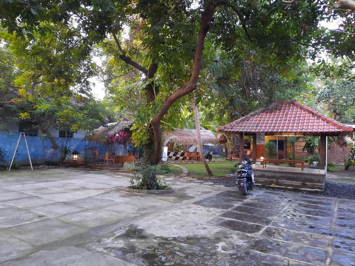 Penginapan Sedap Malam Lovina Exteriér fotografie