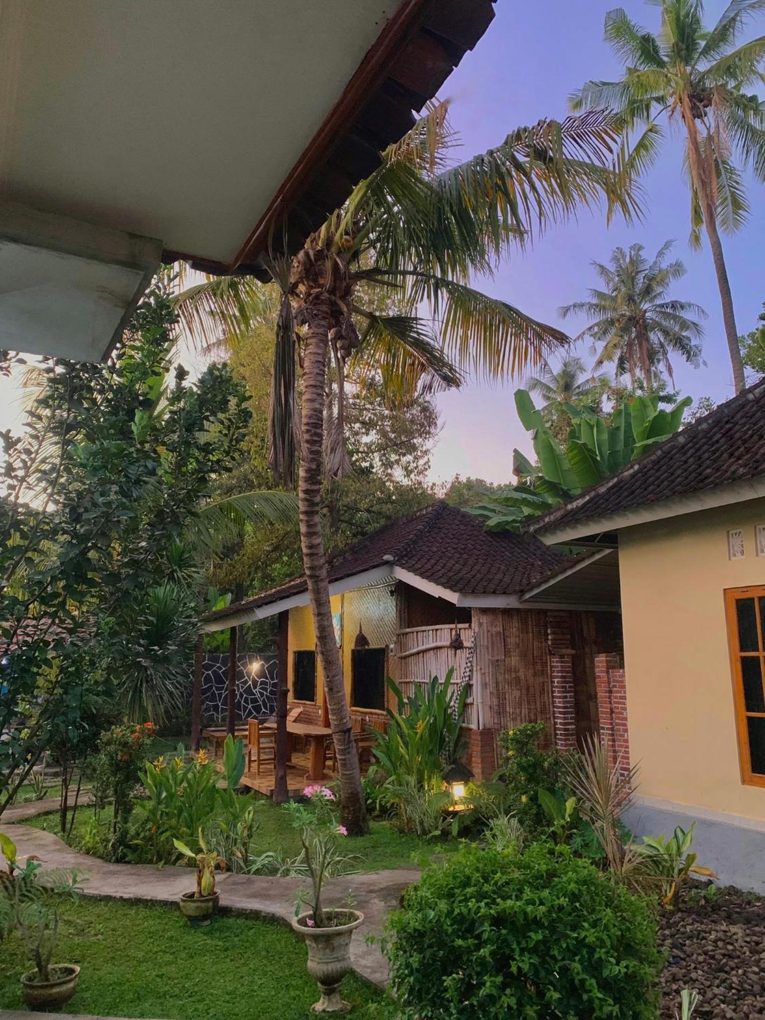 Penginapan Sedap Malam Lovina Exteriér fotografie